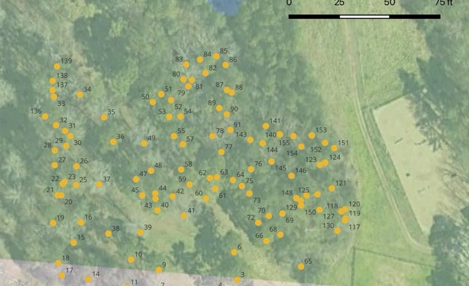 geolocation of trees