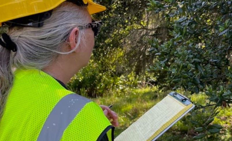 arborist tree insurance claim